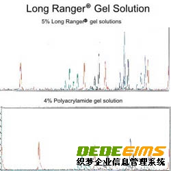 Lonza測(cè)序及突變檢測(cè)產(chǎn)品