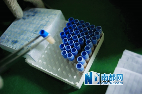 <p>    當(dāng)患者實(shí)施治療時(shí)，會(huì)提前14天通知實(shí)驗(yàn)室，實(shí)驗(yàn)員取出液氮罐里儲(chǔ)存的免疫細(xì)胞樣本進(jìn)行培養(yǎng)。</p>